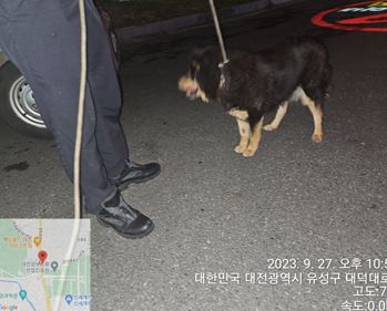 대전동물보호센터_430367202300576